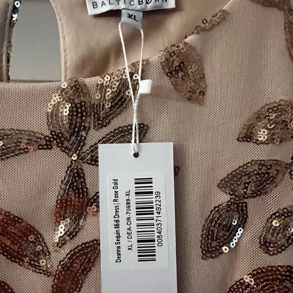 Deanna Sequin Midi Dress - Picture 5 of 7